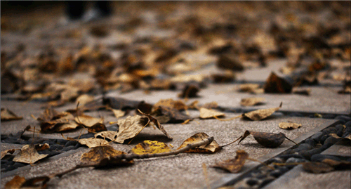 新人报道自我介绍范文大全5篇