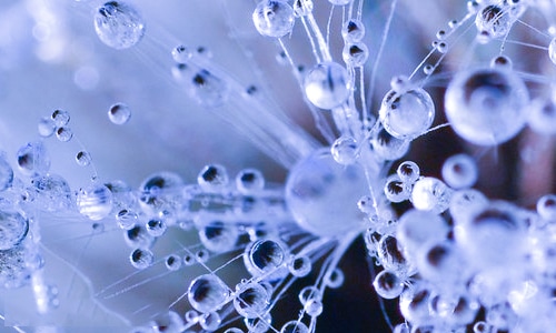 小学毕业写给同学的离别赠言