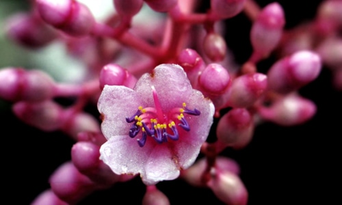 同学录毕业赠言文案 同学录毕业赠言文案