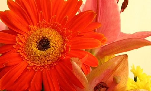 毕业典礼老师优美赠言精选80句5篇