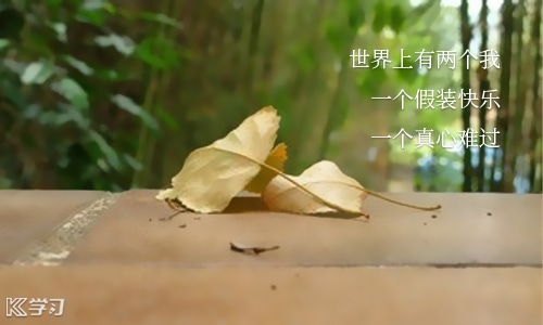 小学老师给学生的毕业赠言150句5篇