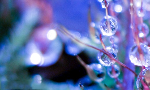 给失败的同学毕业赠言110句5篇