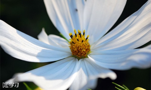 关于远离网络诈骗的标语 关于远离网络诈骗的标语