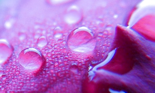 2021教师节诗歌朗诵稿大全模板 2021教师节诗歌朗诵稿大全模板