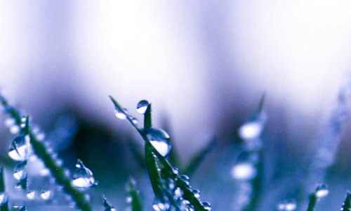 世界环境日宣传标语口号整理总结