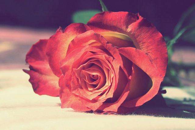 情人节送给男友的礼物_情人节送女友的礼物