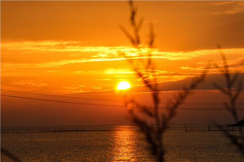 1594885543401969.jpg 011d1e58958cf9a801219c77fb0f10.jpg@1280w_1l_2o_100sh.jpg