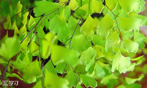 预防网络电信诈骗宣传标语