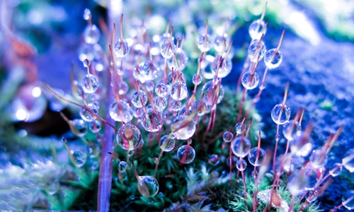 2021教师节送给老师的诗歌朗诵 2021教师节送给老师的诗歌朗诵