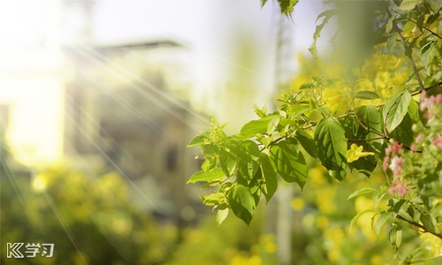 中秋节送女朋友什么礼物最好