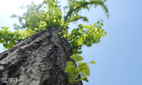 0-3岁儿童睡前故事 0-3岁儿童睡前故事