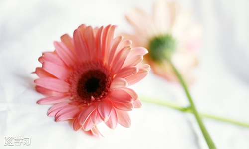 重阳节送什么礼物给老人