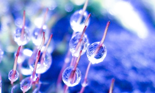 下元节的风俗习俗有哪些 下元节的风俗习俗有哪些