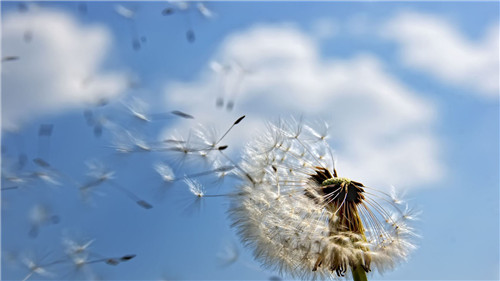 1593415491248229.jpg abe1eea3ca79fc28-c577ebdcb0f3dbcc-7273f32a67469022f97a4aa3c9a4471e.jpg