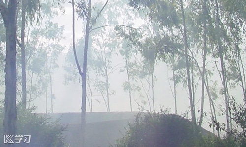 工作中犯错误的检讨书范文 工作中犯错误的检讨书范文